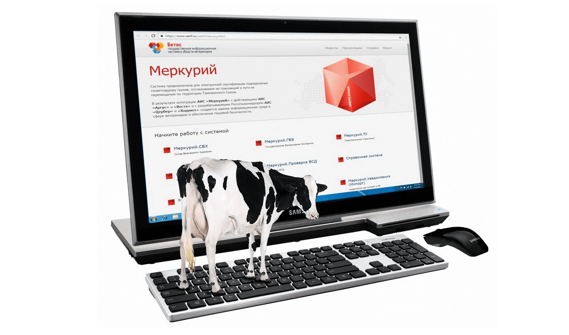 С 1 ноября 2019 года вся готовая молочная продукция подлежит электронной ветеринарной сертификации